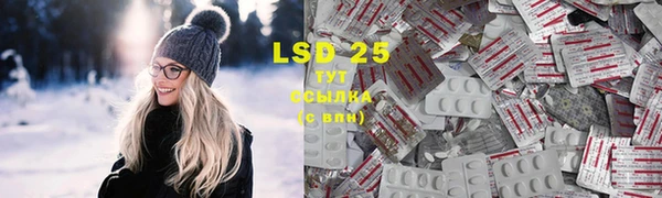 сатива Зерноград